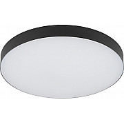 Потолочный светильник Relict 38 SPB-6-40 4К BK