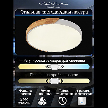 Потолочный светильник Scandinavian LED LAMPS 81182