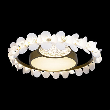 Потолочный светильник Bride 10174