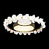 Потолочный светильник Bride 10174