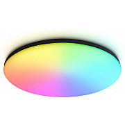 Потолочный светильник ORBITAL FZ2006