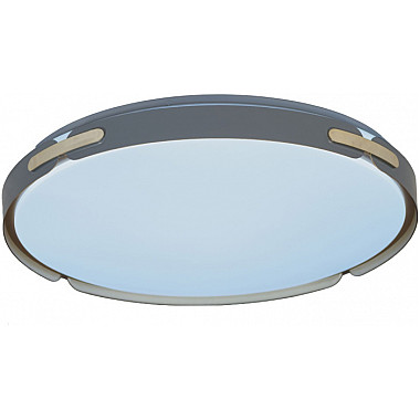 Потолочный светильник Paneli LDC 8063-48W BL