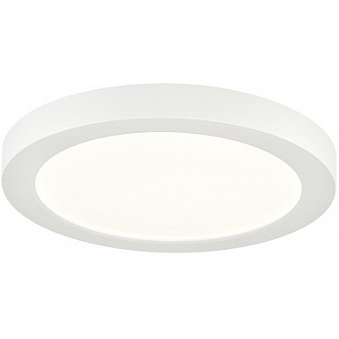 Потолочный светильник Nebula 7754/12L