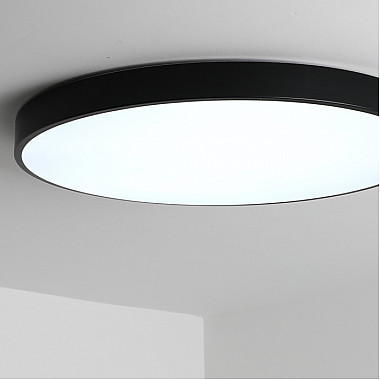 Потолочный светильник Tortty ZRS.02563.72