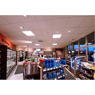 Потолочный светильник PRO 100043