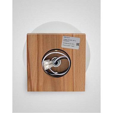 Потолочный светильник SS1N 000036819