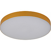 Потолочный светильник Relict 38 SPB-6-40 4К MG