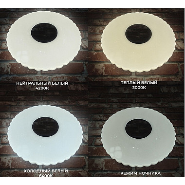 Потолочный светильник Бейли 45442.45.90.77