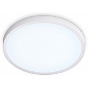 Потолочный светильник ORBITAL FZ1951