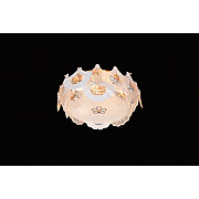 Потолочный светильник Infinita FL1152-5C