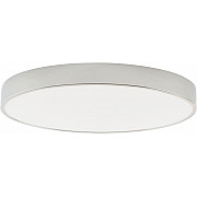 Потолочный светильник Tortty ZRS.02565.72