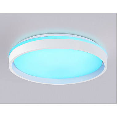 Потолочный светильник ORBITAL FZ607