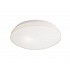 Потолочный светильник Euro LED 348017