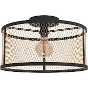 Потолочный светильник Dellow 43603