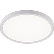 Потолочный светильник Plain LED LAMPS 81113/2C