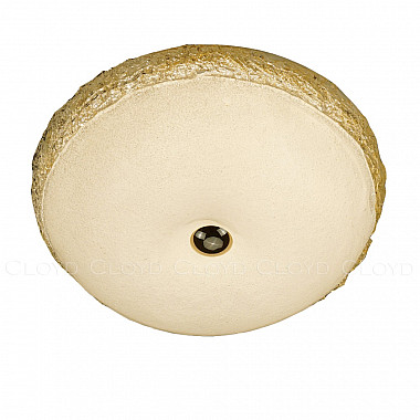 Потолочный светильник Nectar 11324