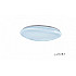 Потолочный светильник Mercury ZD5106 SS-60W WH