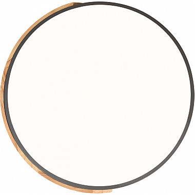 Потолочный светильник Scandinavian LED LAMPS 81183