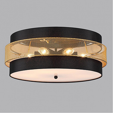 Потолочный светильник Animaisa 8003/6C