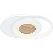 Потолочный светильник COMFORT FL4788