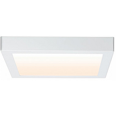 Потолочный светильник Carpo 79801