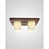 Потолочный светильник SS1N 000036810