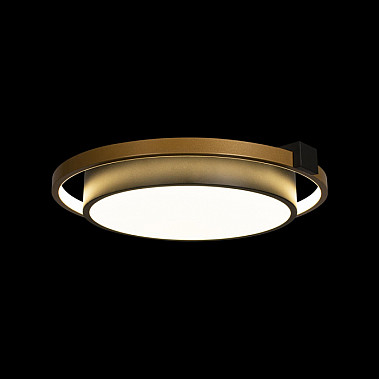 Потолочный светильник Mike 10169