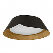 Потолочный светильник Lane 10370 Black