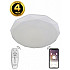 Потолочный светильник LED LAMPS LED LAMPS 81081