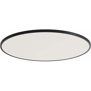 Потолочный светильник Disco DL20171R12W1B