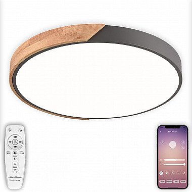 Потолочный светильник Scandinavian LED LAMPS 81183