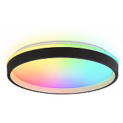 Потолочный светильник ORBITAL FZ610