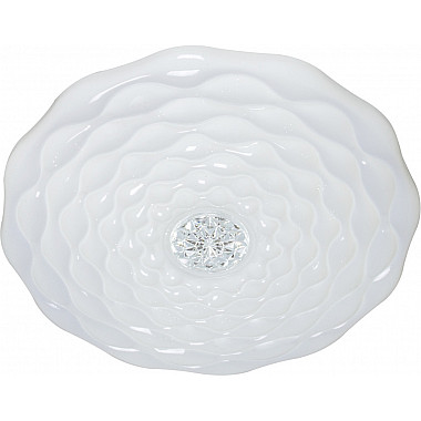 Потолочный светильник 00563-0.5-500