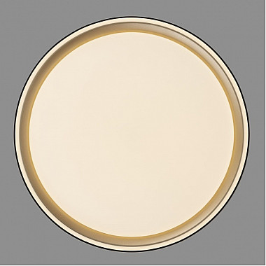 Потолочный светильник Boss CL751251G