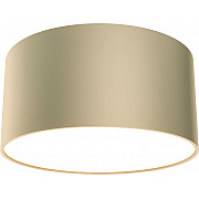 Потолочный светильник Zon C032CL-12W4K-RD-MG