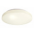 Потолочный светильник Euro LED 348018