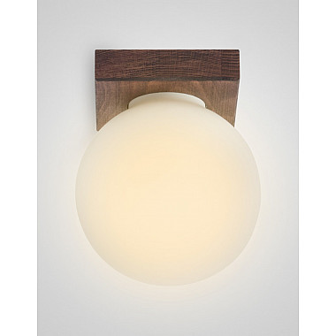 Потолочный светильник SS1N 000036796