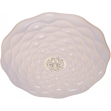 Потолочный светильник 00563-0.5-500