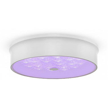 Потолочный светильник Cells FR10011CL-L24W