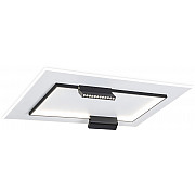 Потолочный светильник COMFORT FL51456