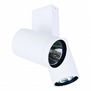 Потолочный светильник DL18422 DL18422/12WW-White Dim