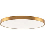 Потолочный светильник Tortty ZRS.02566.120