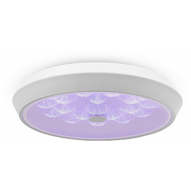 Потолочный светильник Cells FR10012CL-L24W