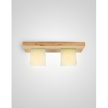 Потолочный светильник SS1N 000036811