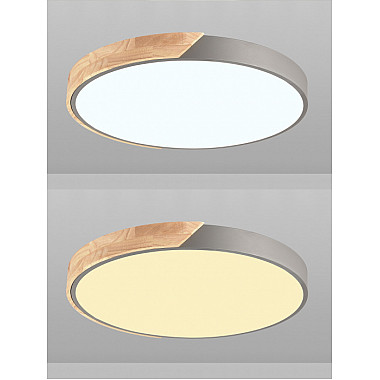 Потолочный светильник Scandinavian LED LAMPS 81184