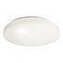 Потолочный светильник Euro LED 348019