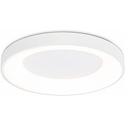 Потолочный светильник ORBITAL FZ1401