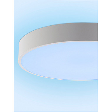 Потолочный светильник Modern LED LAMPS 81105/2C