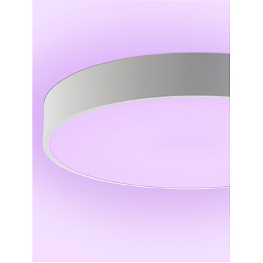 Потолочный светильник Modern LED LAMPS 81105/2C