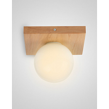 Потолочный светильник SS1N 000036823